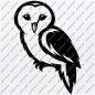113+ Harry Potter Owl SVG -  Harry Potter SVG Printable