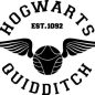 165+ Harry Potter Quidditch SVG -  Digital Download Harry Potter SVG