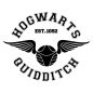 Quidditch SVG