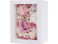 Amazon.com – Shadow Box Frame in White, Wooden Frame Box for Display